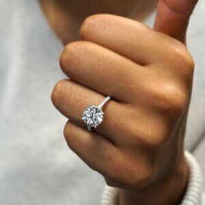 Meet your Posher, Donald